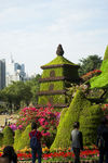 花草 青草 绿化公园 花草园