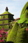 花草 青草 绿化公园 花草园