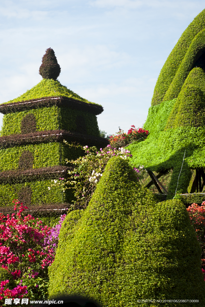 花草 青草 绿化公园 花草园