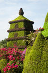 花草 青草 绿化公园 花草园