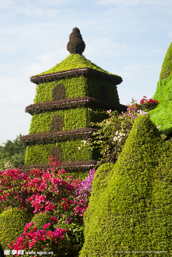 花草 青草 绿化公园 花草园