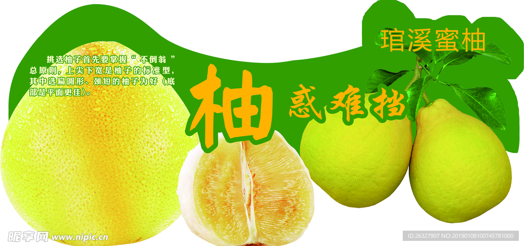 柚子异性展板