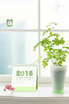 小清新海报