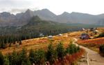 山村秋景