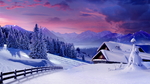雪景