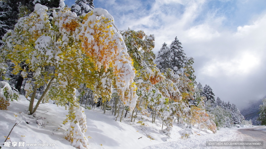 雪景