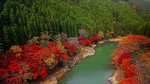 林海