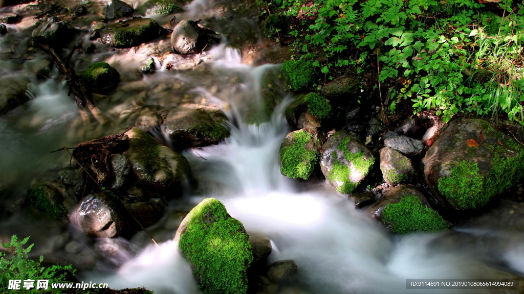 小溪流水