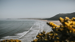海边