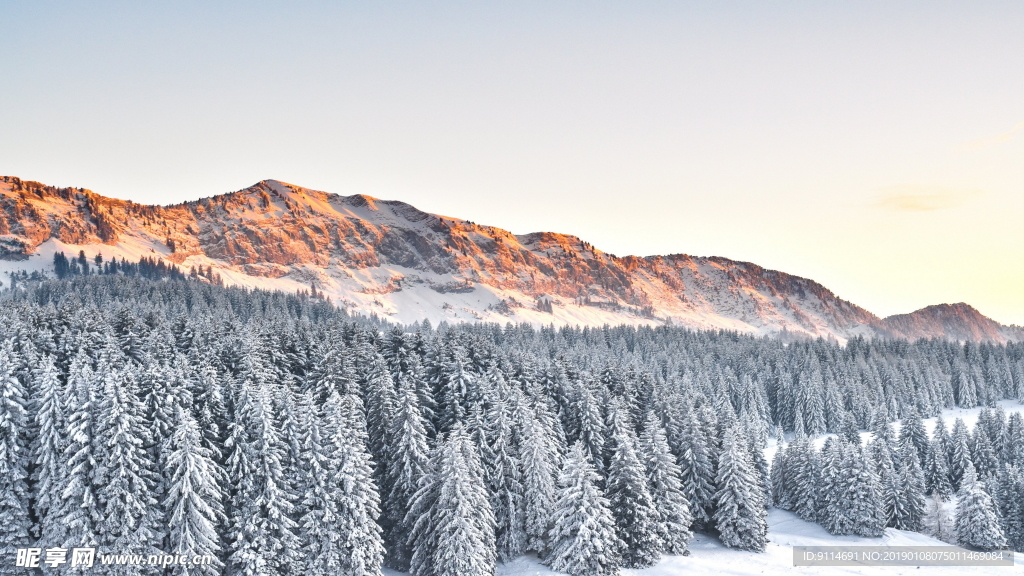 雪景