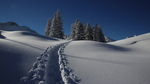 雪后