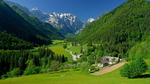 青山绿树