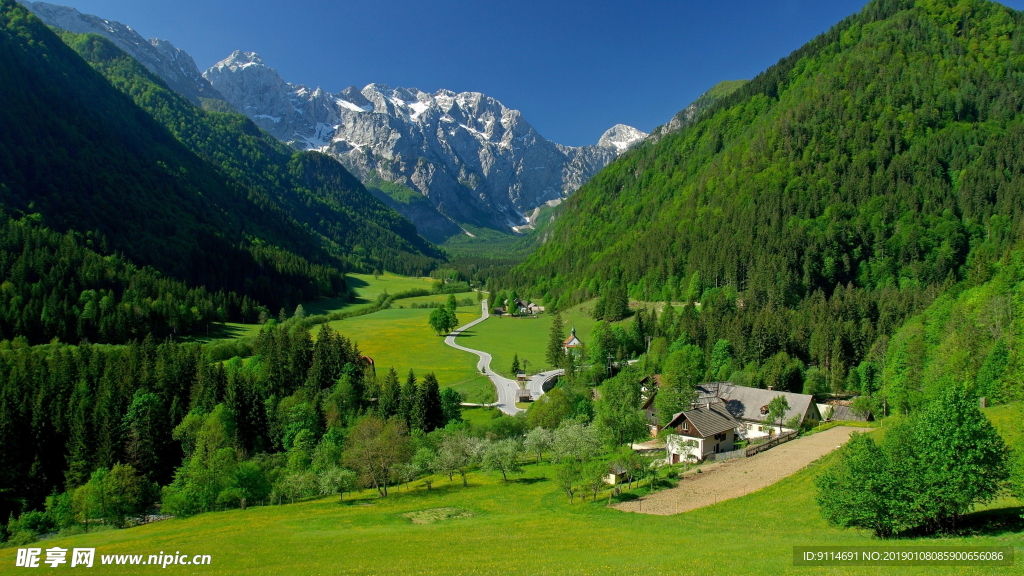 青山绿树
