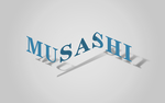 LOGO样机