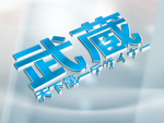 LOGO样机