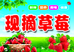 草莓海报