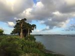 新西兰海滨自然风景
