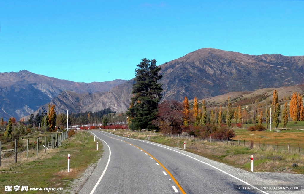 新西兰南岛游旅途风景