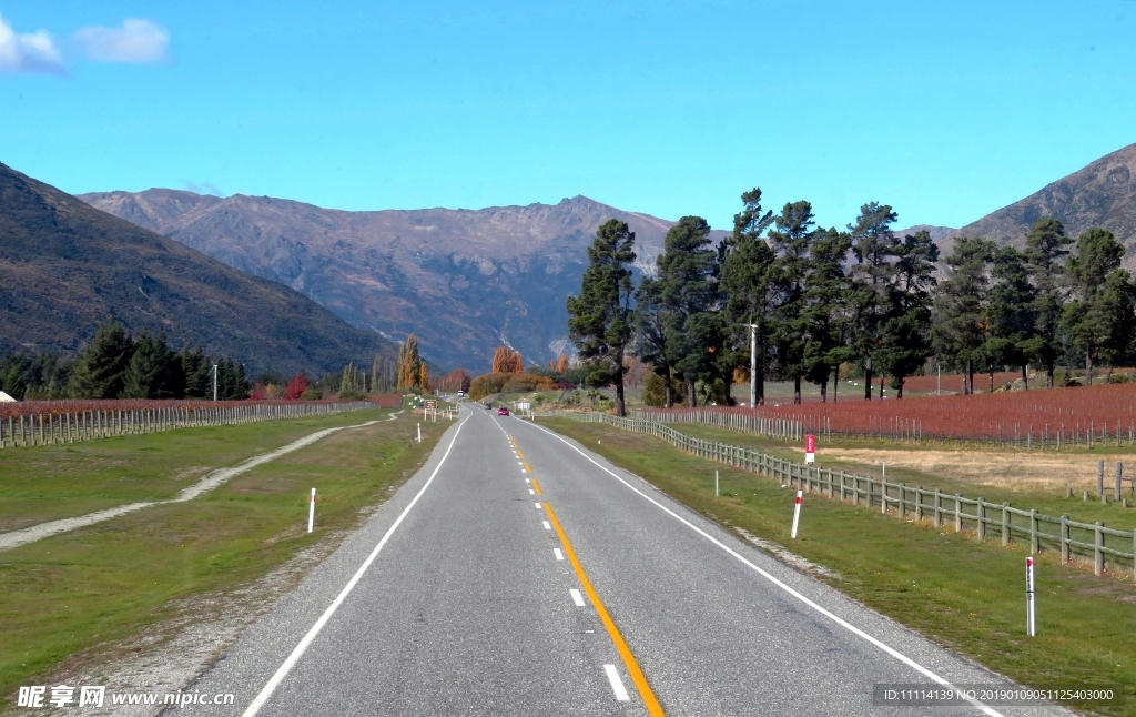 新西兰南岛游旅途风景