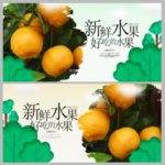 橘子