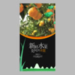 橘子