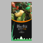 梨