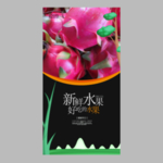 火龙果