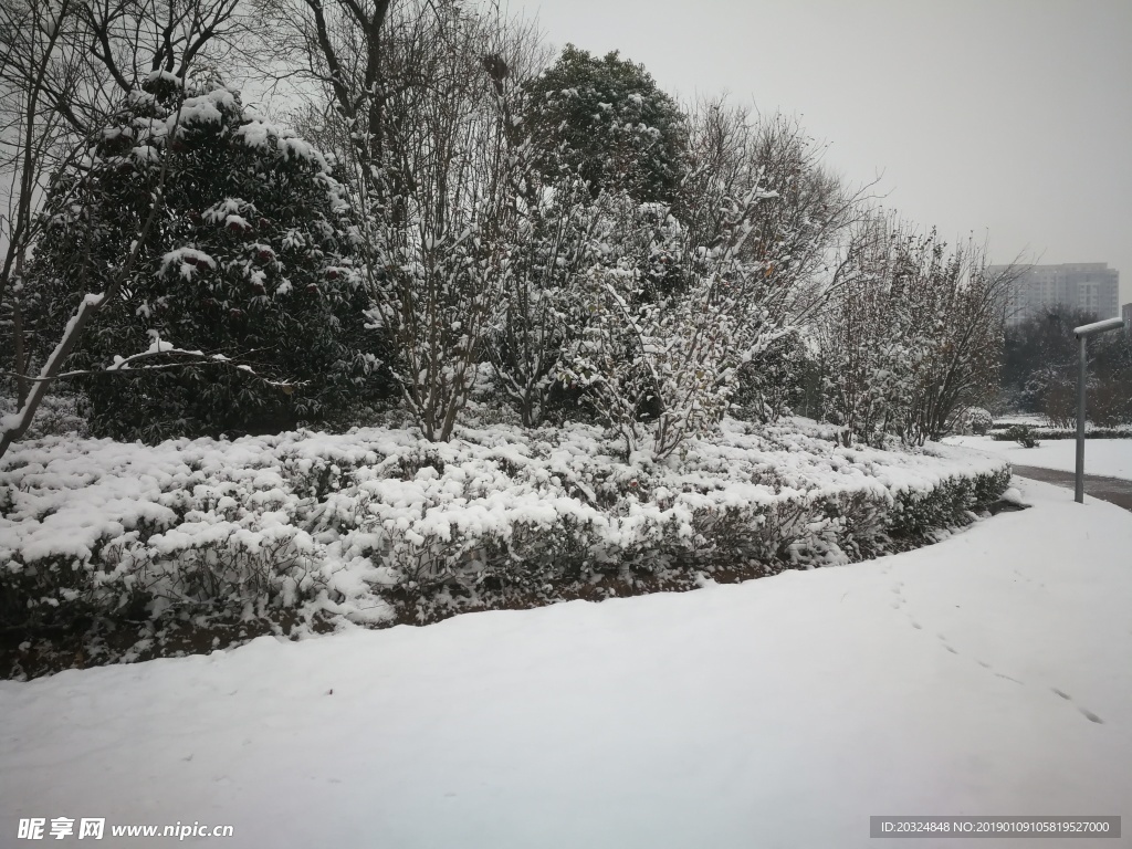 雪后城河公园