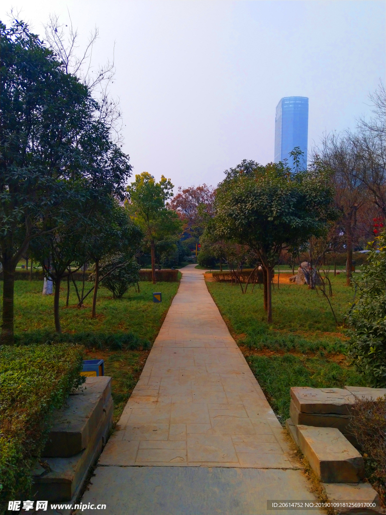 日暮下的公园风景