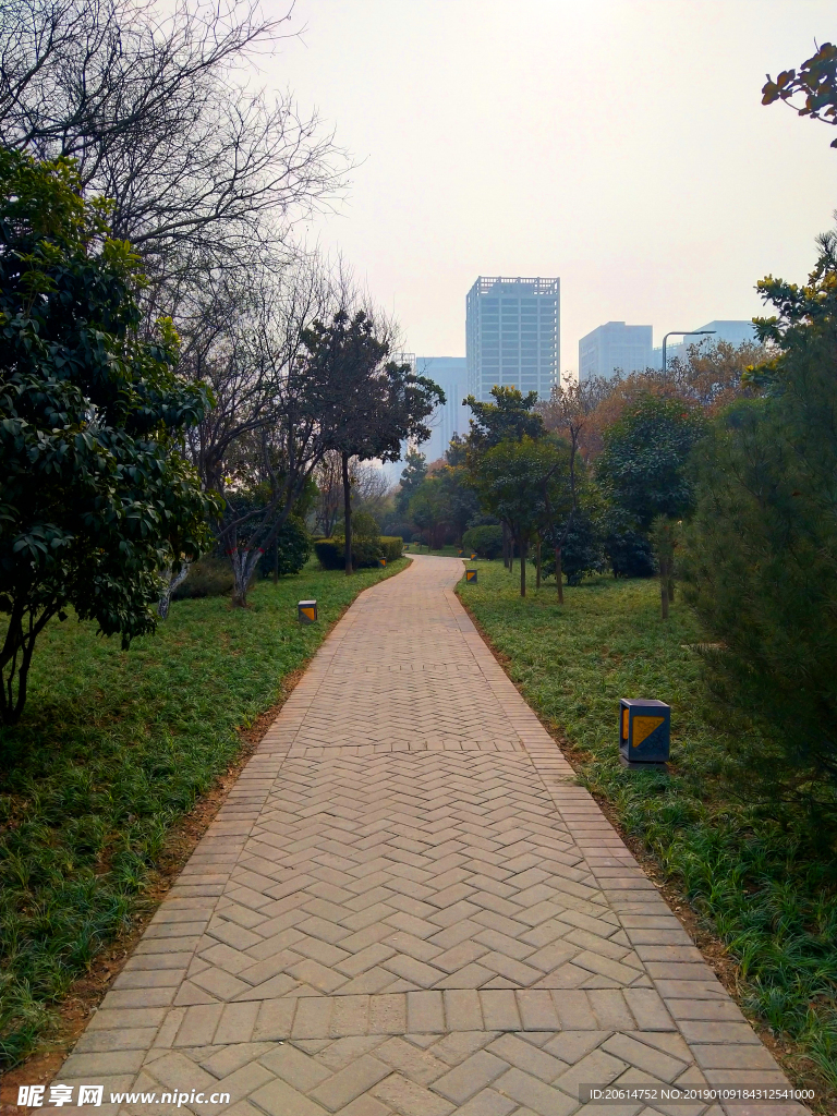 日暮下的公园风景