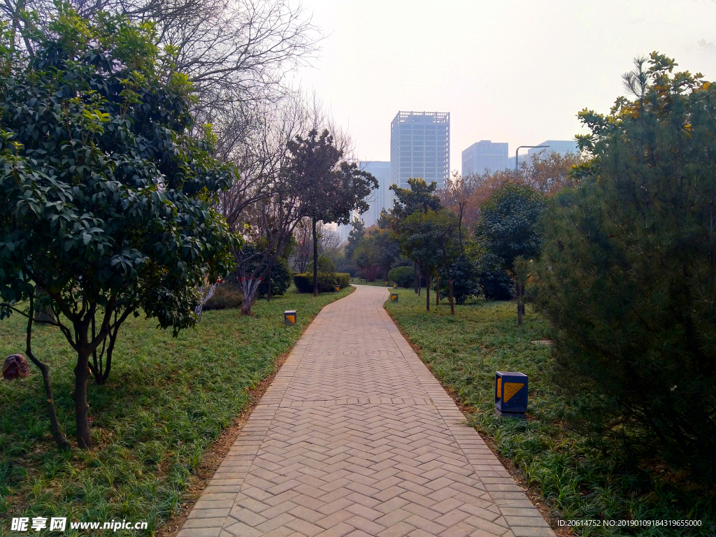 深秋时节的公园风景