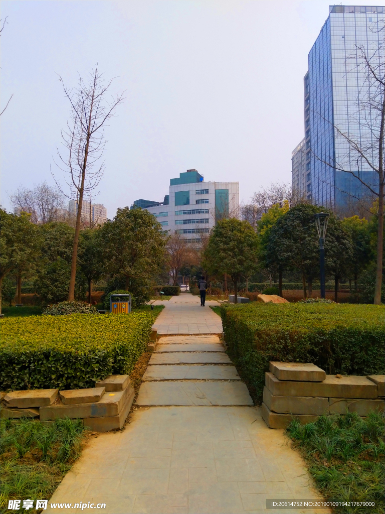 日暮下的公园风景