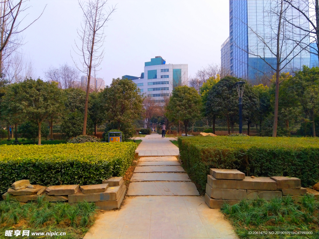 夕阳下的公园风景