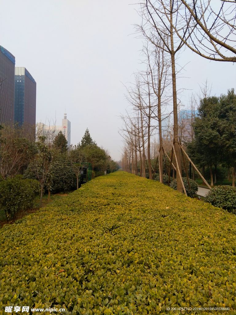 美丽的公园风景
