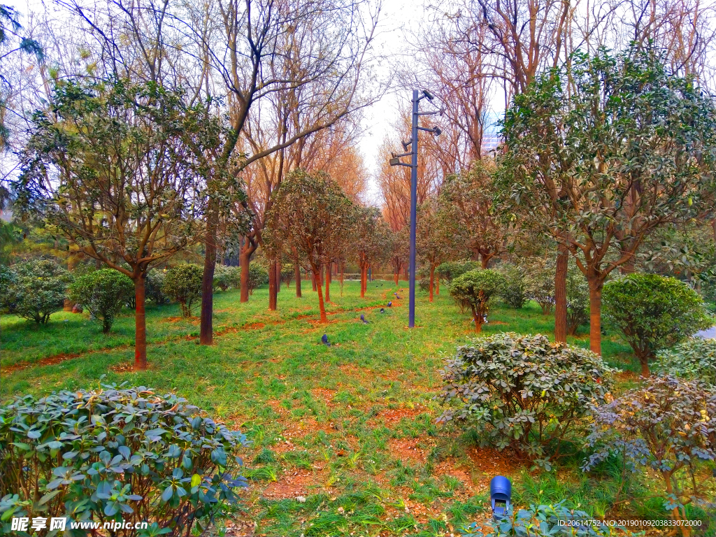 日暮下的公园风景