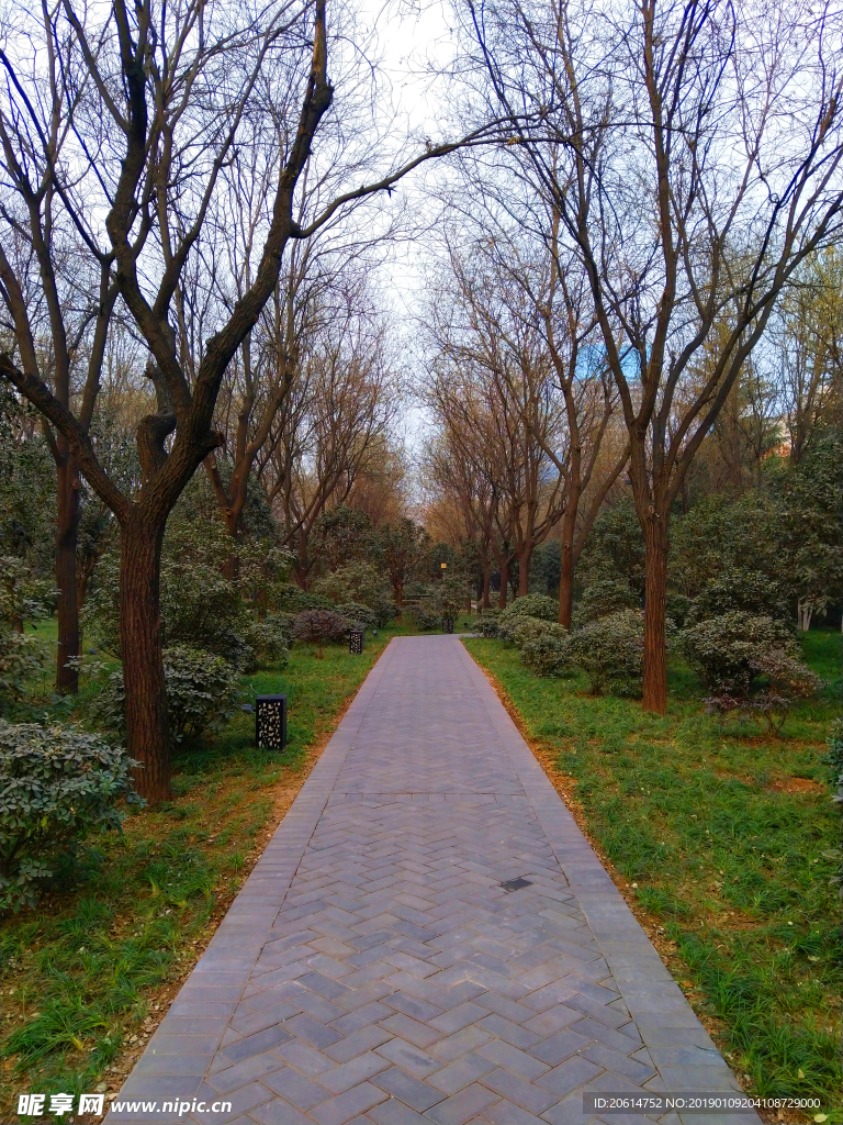 日暮下的公园风景