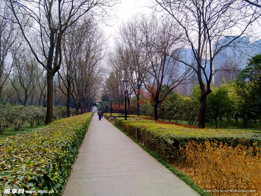美丽的公园风景