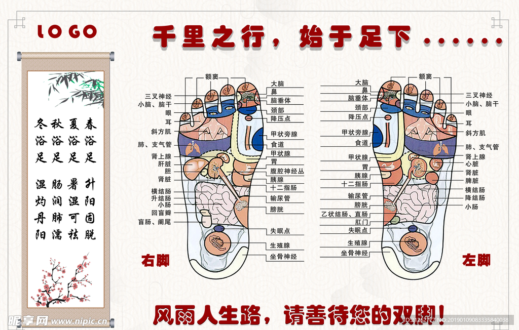 足部穴位图