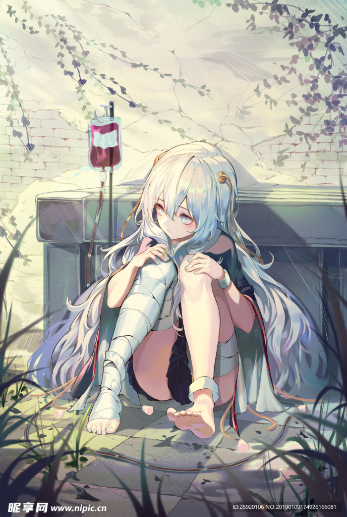 动漫插画
