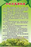 护林员管理制度