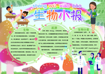 手抄报