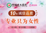 专业只为女人