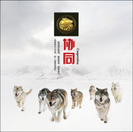 企业文化协同