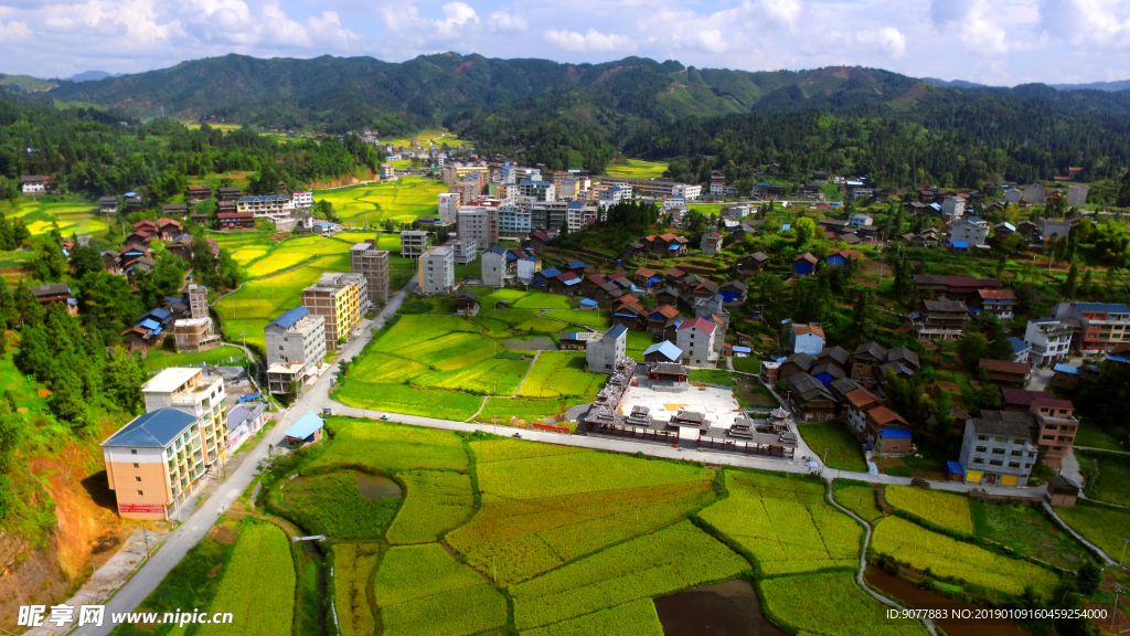 航拍 田园 秋色 金秋时节