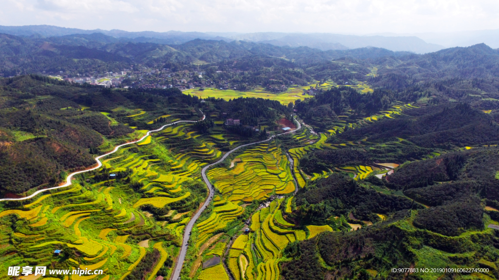 航拍 田园 秋色 金秋时节