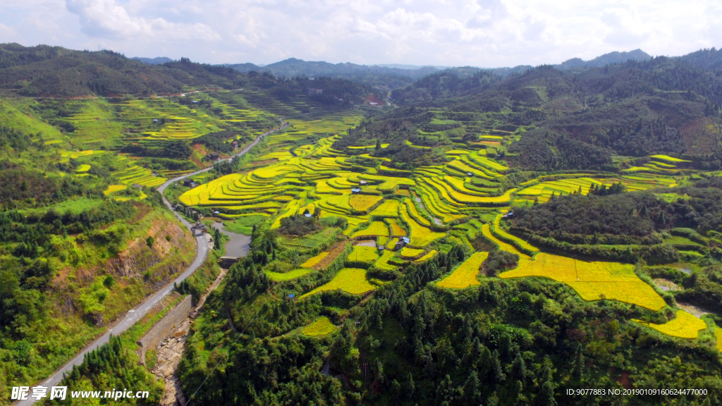 航拍 田园 秋色 金秋时节