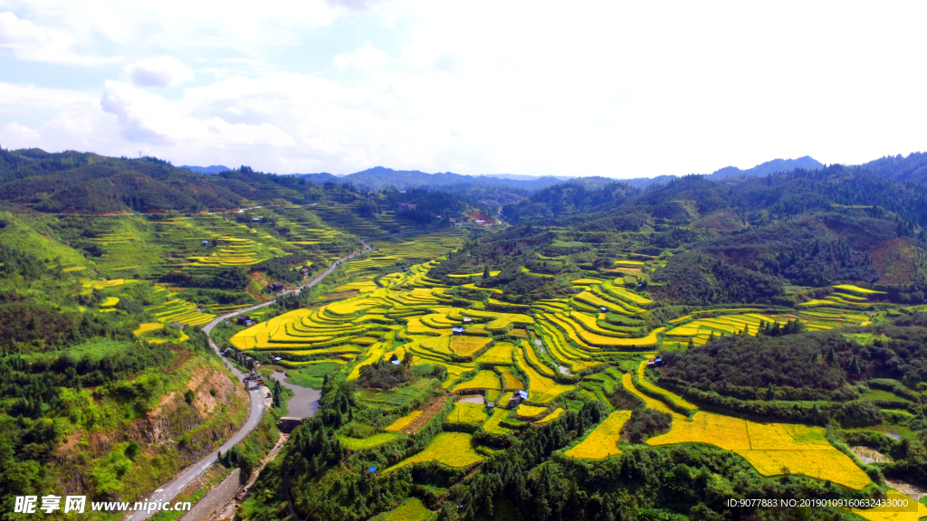 航拍 田园 秋色 金秋时节