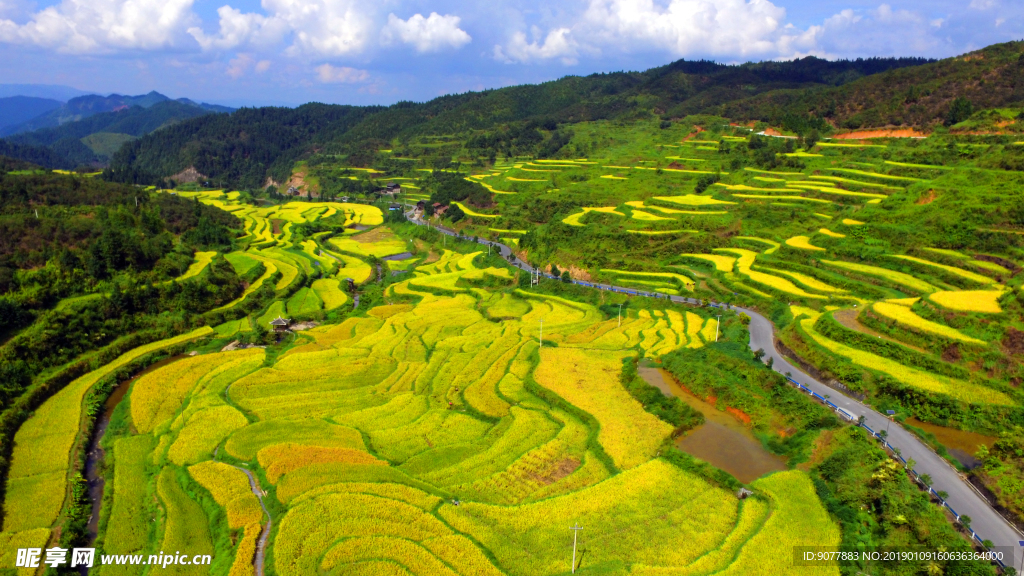 航拍 田园 秋色 金秋时节 水