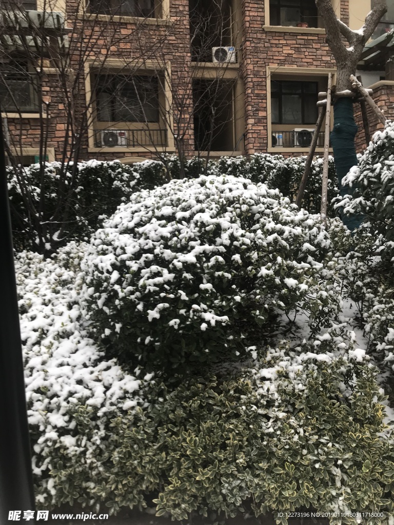 雪