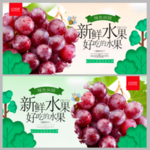 提子